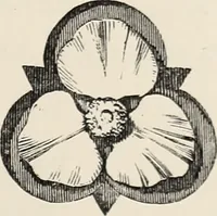 An illustration from Art-studies from nature, as applied to design : for the use of architects, designers, and manufacturers (1872)