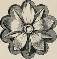 An illustration from Art-studies from nature, as applied to design : for the use of architects, designers, and manufacturers (1872)
