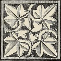 An illustration from Art-studies from nature, as applied to design : for the use of architects, designers, and manufacturers (1872)