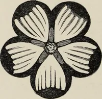 An illustration from Art-studies from nature, as applied to design : for the use of architects, designers, and manufacturers (1872)