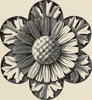 An illustration from Art-studies from nature, as applied to design : for the use of architects, designers, and manufacturers (1872)