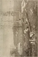 An illustration from The art treasures of Washington : an account of the Corcoran Gallery of Art and of the National Gallery and Museum, with descriptions and criticisms of their contents; including, also, an account of the works of art in the Capitol, and in the Library of Congress, and of the most important statuary in the city (1912)