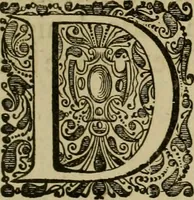 An illustration from Asia, of, Naukeurige beschryving van het rijk des Grooten Mogols, en een groot gedeelte van Indien ... (1672)