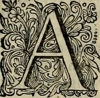 An illustration from Asia, of, Naukeurige beschryving van het rijk des Grooten Mogols, en een groot gedeelte van Indien ... (1672)