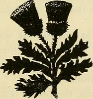 Picture 17 of 45 from As it is to be (1892), leaf 112