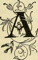 Picture 42 of 45 from As it is to be (1892), leaf 228