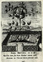 Picture 22 of 34 from Asma poeticum Litaniaru[m] Lauretanarum : [in quo singulis titulis emblemata cum carmine respondent] (1636), leaf 81