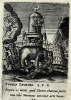 Picture 23 of 34 from Asma poeticum Litaniaru[m] Lauretanarum : [in quo singulis titulis emblemata cum carmine respondent] (1636), leaf 85