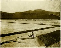 An illustration from A souvenir booklet containing many beautiful and interesting views of Salt Lake City and vicinity (1915)