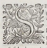 An illustration from Assiento y capitulacion, : que los señores presidente, y del Consejo Real de las Indias tomaron co[n] Adriano de Legaso, por si y en nombre del prior y consules de la Vniversidad de los Cargadores a las Indias de la ciudad de Seuilla, y demas personas interresadas en el comercio dellas, sobre a cobrança y administracio[n] del derecho de la aueria, y despacho de las armada y flotas de las Indias, por tiempo de seis años que començaràn a correr desde principio del venidero de 1628 y se cumpliràn en fin del de 633. (1627)