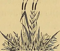 An illustration from Astrea : or, Goddess of justice (1881)