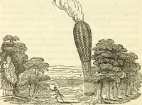 Picture 11 of 92 from The astrologer of the nineteenth century (1825), leaf 175