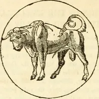 Picture 32 of 92 from The astrologer of the nineteenth century (1825), leaf 321
