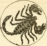 Picture 38 of 92 from The astrologer of the nineteenth century (1825), leaf 325