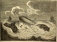 Picture 54 of 92 from The astrologer of the nineteenth century (1825), leaf 432