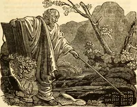 Picture 78 of 92 from The astrologer of the nineteenth century (1825), leaf 508