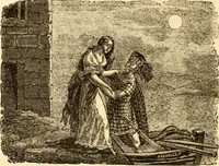 Picture 89 of 92 from The astrologer of the nineteenth century (1825), leaf 571