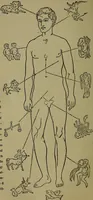 An illustration from Astrology, science of knowledge and reason; a treatise on the heavenly bodies in an easy and comprehensive form (1897)