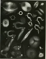 An illustration from The Astronomical journal (1849)