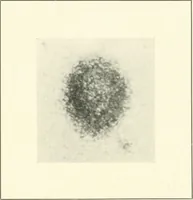 An illustration from The Astronomical journal (1849)