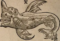 An illustration from Astronomica veterum scripta isagogica Graeca & Latina (1589)