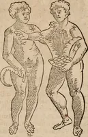 An illustration from Astronomica veterum scripta isagogica Graeca & Latina (1589)