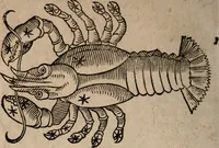 An illustration from Astronomica veterum scripta isagogica Graeca & Latina (1589)