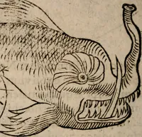 An illustration from Astronomica veterum scripta isagogica Graeca & Latina (1589)