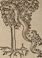 An illustration from Astronomica veterum scripta isagogica Graeca & Latina (1589)