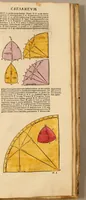 Picture 37 of 54 from Astronomicum cæsareum (1540), leaf 106
