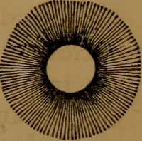 An illustration from Astronomy (1878)