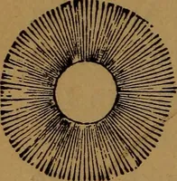 An illustration from Astronomy (1878)