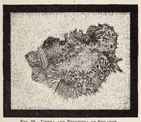 Picture 7 of 10 from Astronomy (1883), leaf 225