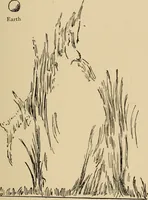 Picture 23 of 73 from Astronomy for amateurs (1904), leaf 122