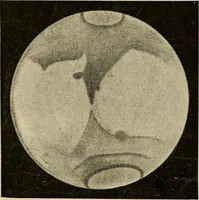 An illustration from Astronomy for amateurs (1904)