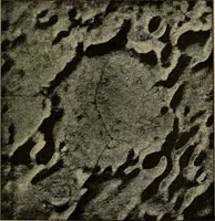 Picture 62 of 73 from Astronomy for amateurs (1904), leaf 272