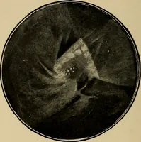Picture 14 of 73 from Astronomy for amateurs (1904), leaf 93