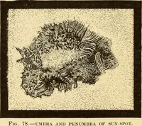 Picture 80 of 133 from Astronomy for high schools and colleges (1889), leaf 307