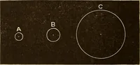 Picture 88 of 133 from Astronomy for high schools and colleges (1889), leaf 331