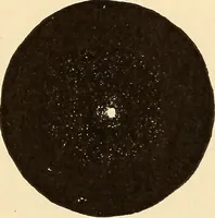 Picture 98 of 133 from Astronomy for high schools and colleges (1889), leaf 408