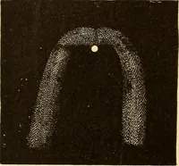 Picture 100 of 133 from Astronomy for high schools and colleges (1889), leaf 411