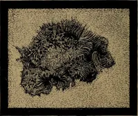 An illustration from Astronomy for high schools and colleges (1881)
