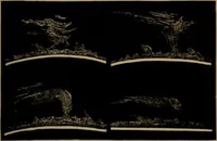 An illustration from Astronomy for high schools and colleges (1881)