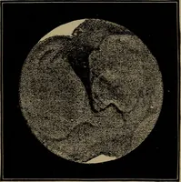 An illustration from Astronomy for schools and general readers (1892)