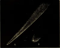An illustration from Astronomy for schools and general readers (1892)