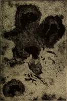 An illustration from Astronomy for schools and general readers (1892)