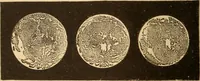 An illustration from Astronomy for the use of schools and academies (1882)