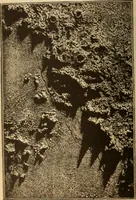 An illustration from Astronomy for the use of schools and academies (1882)