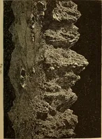 An illustration from Astronomy for the use of schools and academies (1882)