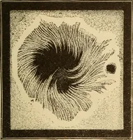 An illustration from Astronomy for the use of schools and academies (1882)